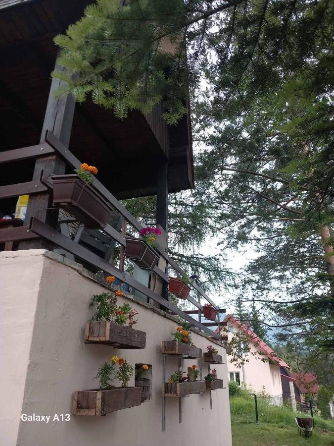 Vikendica Malovic Žabljak Exterior foto